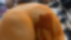 Asstronomical orange leggings