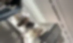 Phat and Plumpy Latina / not OC