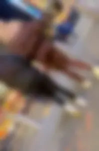 OC Bubble PAWG Duo
