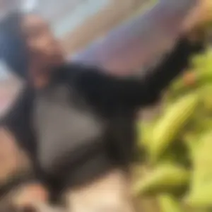 Bra-less at the Supermarket