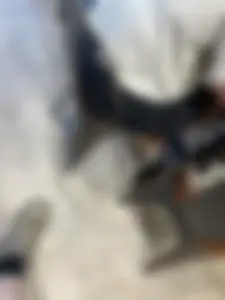 Insanely huge pawg (oc)