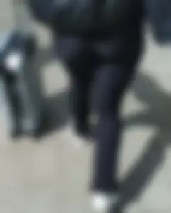 Travelling booty