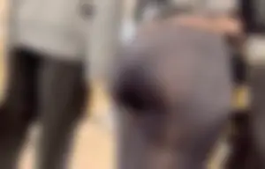Tall Ebony Ass In Tight Leggings