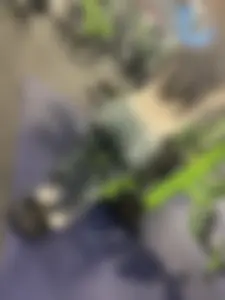 Gym latina pt2 (oc)