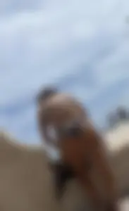 A mix 8.0 (oc)