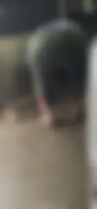 Looking for something