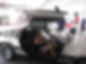 The drivers