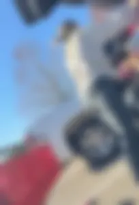 Amazing Asses in Parking Lot