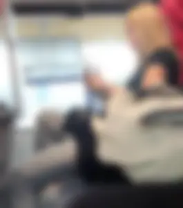 Hot busty blonde on train