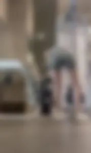 NVGTN Gym Ass / NOT OC