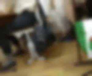 Candid teens' legs and feet in pantyhose closeups in college class