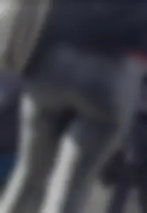 Milf shows off her shapely ass in her leather pants at the market