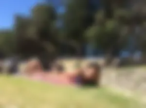 Group of awesome girls in swimsuits