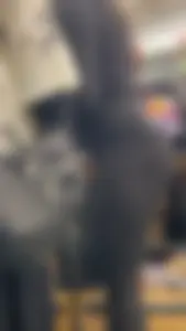 Asian baddie with perky ass