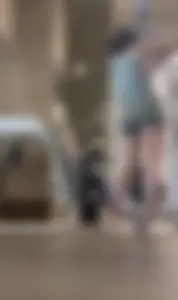 NVGTN Gym Ass / NOT OC