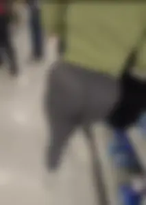 PAWG In Grey Leggings at target