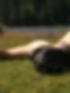 Girl Lying on Grass in Panties - Legs and Naked Feed Closeup Photos