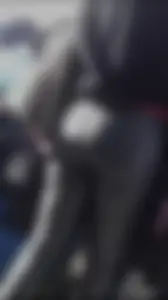 Milf shows off her shapely ass in her leather pants at the market