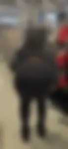 Thick juicy ebony ass shopping OC