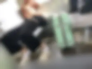 Hot Girlfriend in Pants And White, Slightly Dirty Socks, Her Sneakers Taken Off, Chilling on the Train Seat With Her Head on Her Boyfriend's Lap