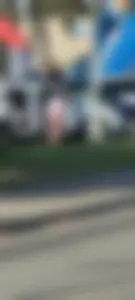 Windy day blesses me