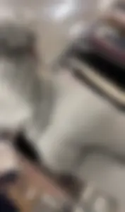 Perfect juicy jiggly fat ass in grey pants