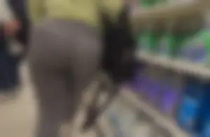 PAWG In Grey Leggings at target