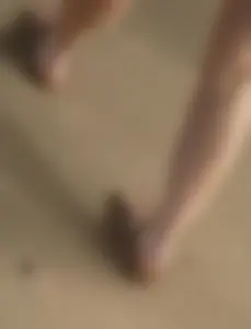 A bunch of nice girls' feed pics and vids