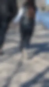 A beautiful little brunette walking in the park. tight black leggings