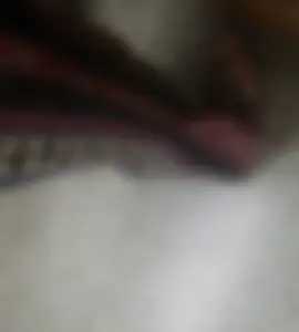 A bunch of nice girls' feed pics and vids