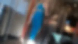 Gym Girl Bending Over in Blue Leggings (OC and GIFS)