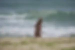 Sexy mature nude beach milf showing it all