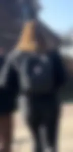 Beautiful Slim Thick Redhead in black jeans. MUST SEE