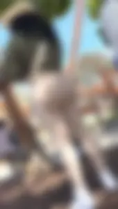 Thick Middle Eastern yoga pants ass at park