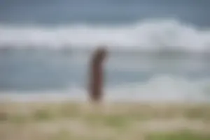 Sexy mature nude beach milf showing it all