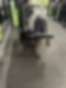 Gym PAWG Pt2 (nike pro leggings, juicy booty(oc))