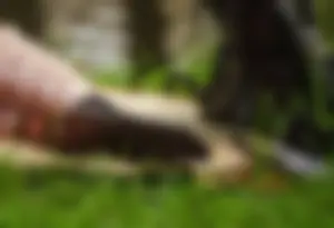 Huge collection of legs and feet photos taken in pubilc places