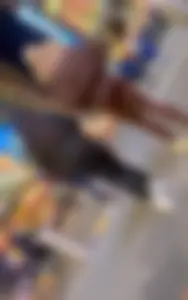 OC Bubble PAWG Duo