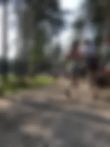 Skinny Teens in Shorts and a Top Walking on a Forest Road Photo Gallery
