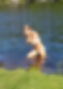 White semi-thong bikini blonde with a nice ass and tits at the lake
