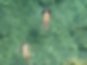 Nude beach and topless girls