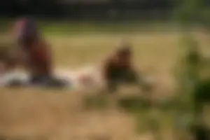 Creepshots of some girls in the park getting some sun in bikinis