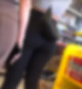 Tight, fit asses at LEGO Store