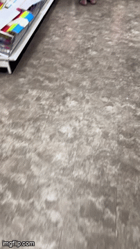 Dollar Tree Series Ep. 1