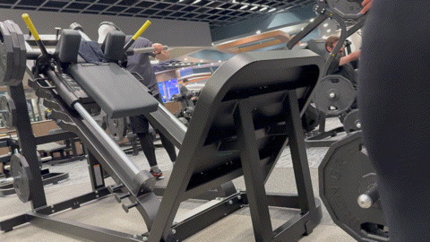 (GIFS) Petite Slim Thick Lebanese Bubble in Gym Sharks