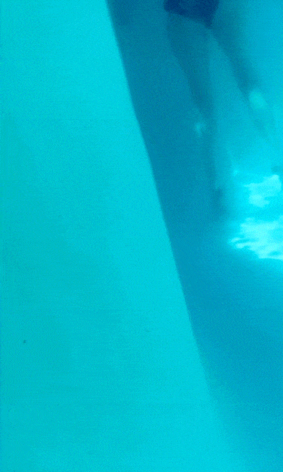 Pool Whores: 1 Milf, 1 College Bitch. Feet + Underwater Ass Shake