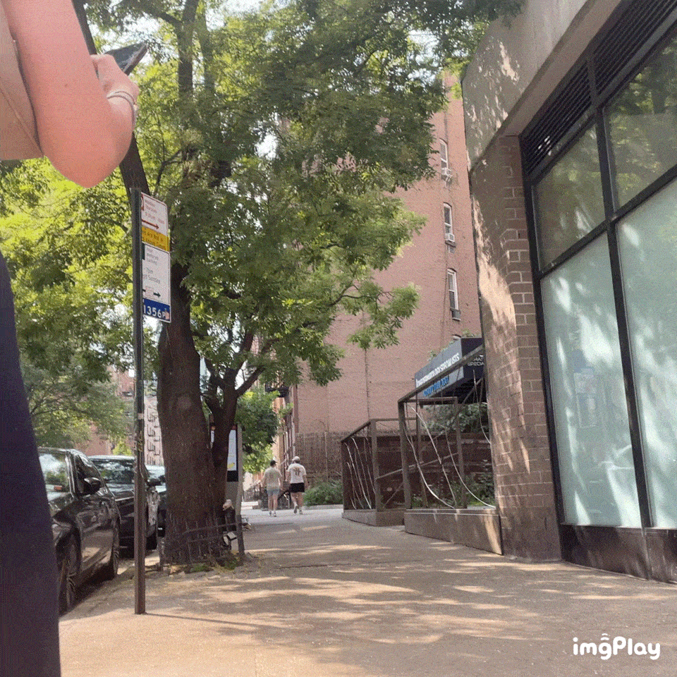 Nyc asses
