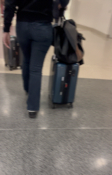 PAWG Hotwife in Tight Jeans Capped at Airport (OC + GIFS)