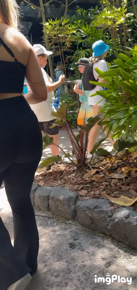 OC highly requested see through latina