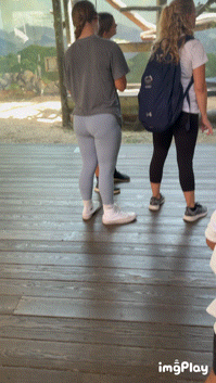 Cute PAWG at the ZOO W/VPL